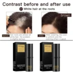 Bioaqua Temporary Hair Color Modified Cream Color Repair Pen Hair Dye Portable Hair Color 4g