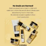 Cosrx All About Snail Kit 4-Step