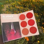 Mocallure Makeup Book Pallete Blushes