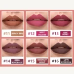 Page Vine 16 color Calligraphy Lip Stain