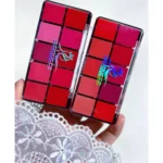 10 Color Matte Lipstick Palette