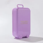 Miss Rose New Travel Makeup kit