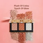 CVB Highlighter & Blusher Palette 12 Shades